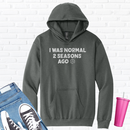 I Was Normal Volleyball Hoodie