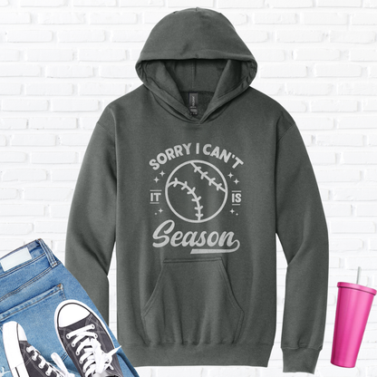Sorry I Can't Baseball Season Hoodie