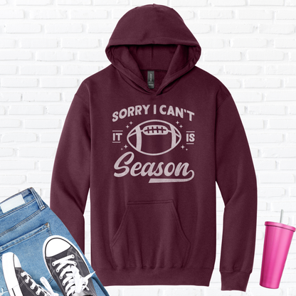 Sorry I Can't Football Season Hoodie