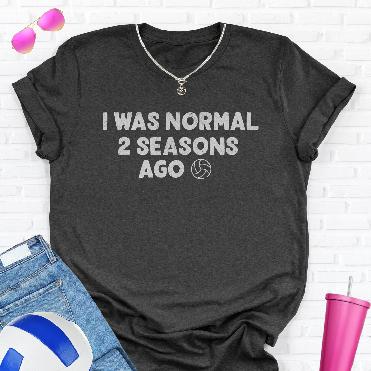I Was Normal Volleyball T-Shirt
